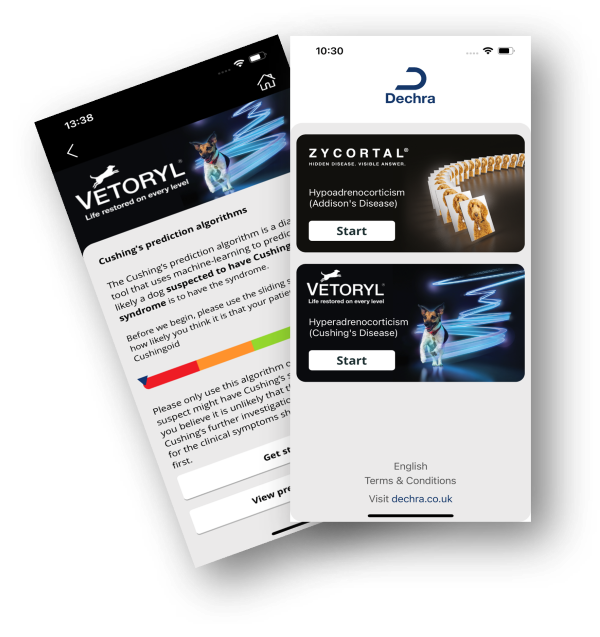 The RVC collaborates on new veterinary Endocrinology App for Dogs